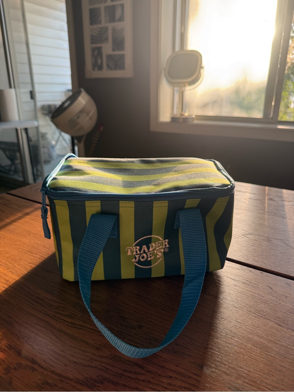 Trader Joe's Striped Insulated Lunch Bag in Green & Blue